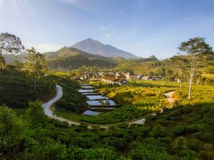Around Mt.Cikuray, West Java Around Mt.Cikuray, West Java
