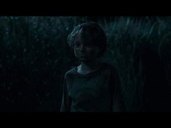 In The Tall Grass: Horor di Balik Rerumputan Tinggi