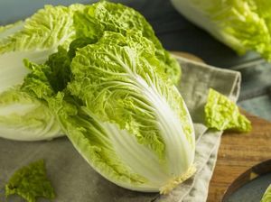 Benih Sawi Putih Asal Korsel Dimusnahkan, Impornya Bakal Dilarang? Benih Sawi Putih Asal Korsel Dimusnahkan, Impornya Bakal Dilarang?