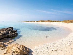 Sudah Tahu? Arab Saudi Juga Punya Maldives