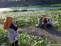 Ini Spot Selfie Baru Yang Ngehits Dan Cantik Di Bantul