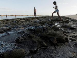 Penampakan Tumpahan Minyak Misterius Cemari Pantai di Brasil