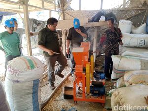 Menyulap Sampah Kulit Rajungan Jadi Bernilai Jual Tinggi di Karawang Menyulap Sampah Kulit Rajungan Jadi Bernilai Jual Tinggi di Karawang