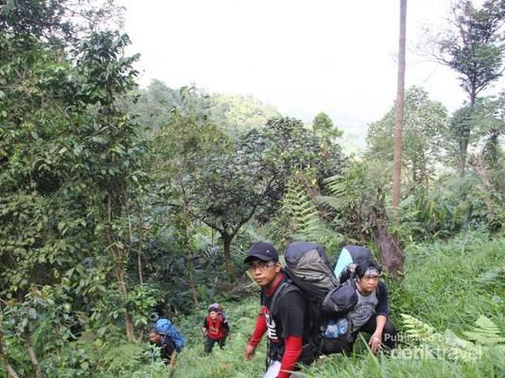 Pandeglang dan Gunung Aseupan yang Bernuansa Mistis Pandeglang dan Gunung Aseupan yang Bernuansa Mistis