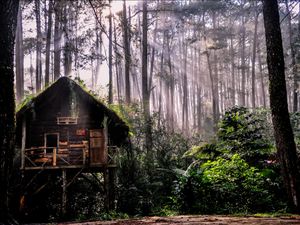 Terik Sang Surya Menyinari Paru Dunia Terik Sang Surya Menyinari Paru Dunia