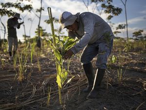 6 Jurusan Kuliah Unik yang Bisa Bantu Selamatkan Bumi, Kamu Pilih Mana?
