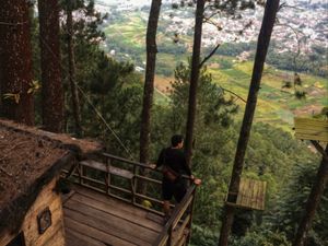 Omah kayoe Omah kayoe