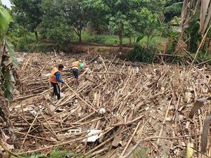 Dinas LH: Sampah Bambu di Sungai Cikeas Bekasi Diangkut Selasa