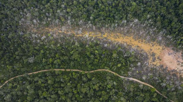 This April 3, 2019 photo shows the destruction of the jungle caused by illegal miners in Peru's Tambopata province. Earlier in the year, Peru's government launched  