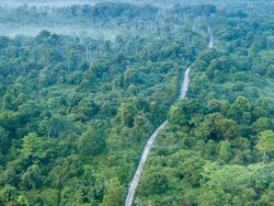 Hijau Hutanku Lestari Negriku