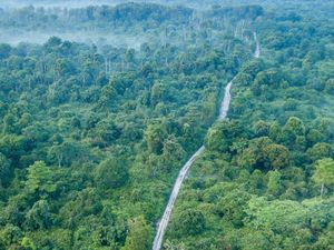 Hijau Hutanku Lestari Negriku Hijau Hutanku Lestari Negriku