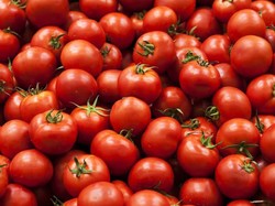 Cara Menanam Tomat di Pot, Simpel dan Praktis!