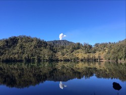 pantulan hutan cemara di tepi danau ranu kumbolo