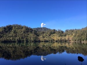 pantulan hutan cemara di tepi danau ranu kumbolo pantulan hutan cemara di tepi danau ranu kumbolo