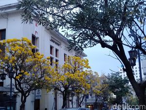 Jalan Braga yang Hits Itu Dulunya Ternyata Jalur Pedati