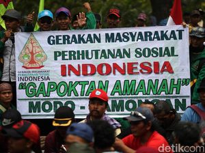 Petani Desak Jokowi Percepat Redistribusi Perhutanan Sosial Petani Desak Jokowi Percepat Redistribusi Perhutanan Sosial