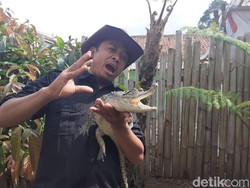 Presenter Steve Ewon Banting Setir Ikut Pilkades di Bandung Barat