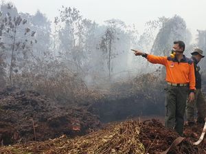PN Palangkaraya Kabulkan Gugatan KLHK Terkait Karhutla 970 Ha di PT AUS