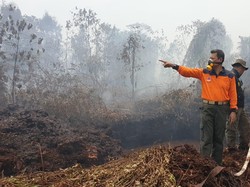 504 Titik Panas Muncul di Sumatera, Sumsel Terbanyak