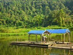 Danau dan Hutan