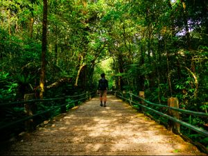 Rindu yang Tertinggal di Hutan Rindu yang Tertinggal di Hutan