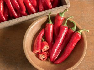 Suka Makan Pedas? Studi Sebut Bisa Kurangi Risiko Stroke dan Sakit Jantung
