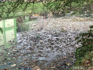 Jijik, Sungai Cipamokolan Bau dan Tertutup Sampah