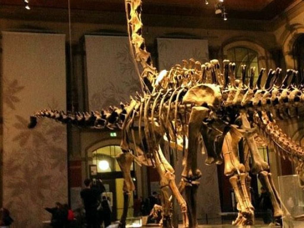 Long Nights of Museums di Berlin, Tak Hanya Sebatas Kunjungan ke Museum Long Nights of Museums di Berlin, Tak Hanya Sebatas Kunjungan ke Museum