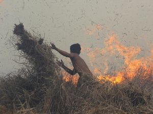 Banding Kandas, Perusahaan Pembakar Hutan di Jambi Dihukum Rp 590 M
