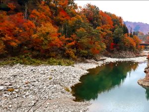 Warna Warni Musim Gugur Warna Warni Musim Gugur