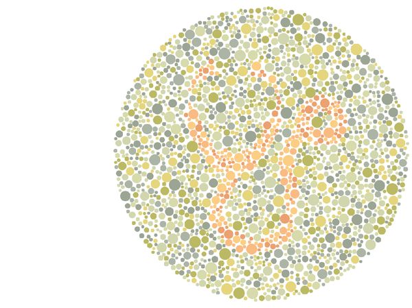 Alat-alat Ini Biasa Dipakai Dokter, Coba Tebak dari Siluetnya