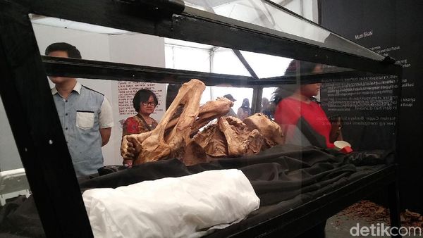 Foto: Mumi & Tradisi Pemakaman Sakral Indonesia