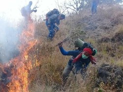 Sedih, 150 Hektar Hutan di Gunung Rinjani Terbakar