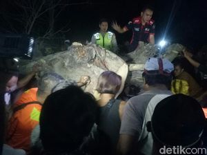 Korban Jiwa Pohon Timpa Mobil Bertambah Satu, Total 4 Orang Tewas