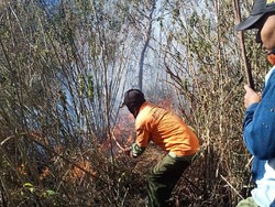 725 Hektare Hutan di Mojokerto Terbakar Sepanjang Musim Kemarau