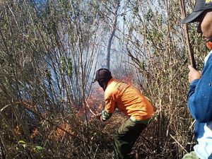 725 Hektare Hutan di Mojokerto Terbakar Sepanjang Musim Kemarau 725 Hektare Hutan di Mojokerto Terbakar Sepanjang Musim Kemarau