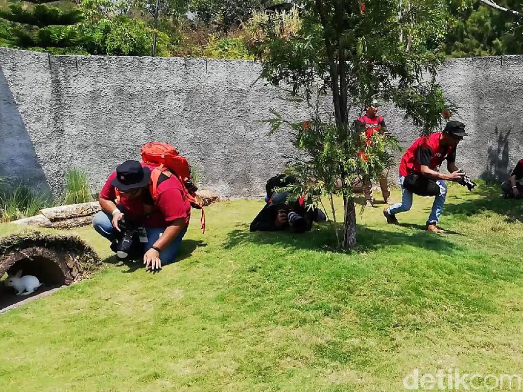 Berburu Foto Satwa Sambil Belajar Konservasi di IAPC 2019 Berburu Foto Satwa Sambil Belajar Konservasi di IAPC 2019