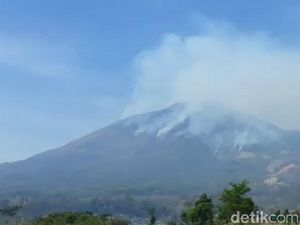 Pemadaman Kebakaran Gunung Arjuno-Welirang Terkendala Jumlah Personel