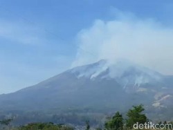 Pemadaman Kebakaran Gunung Arjuno-Welirang Terkendala Jumlah Personel