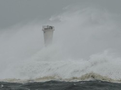 Cerita WNI di Kanagawa Jepang soal Ngerinya Topan Hagibis