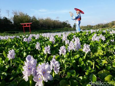 Foto: Seperti di Jepang, Padahal di Bantul