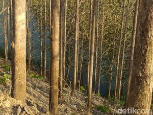 Terpeleset Saat Cari Batu, Warga Malang Hilang di Sungai Brantas Blitar