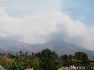 Kebakaran di Gunung Arjuno dan Welirang Belum Bisa Dipadamkan