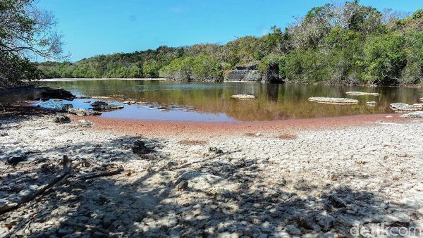 Pesona Danau Merah, Keajaiban dari Selatan Indonesia