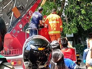 Usai Meriahkan HUT Jatim, Penerjun Paramotor Ini Nyangkut di Pohon Usai Meriahkan HUT Jatim, Penerjun Paramotor Ini Nyangkut di Pohon