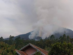 Jalur Pendakian Gunung Cikuray Garut Terbakar