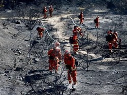 Keadaan Darurat di California, Kebakaran Hutan Picu Evakuasi 180 Ribu Orang