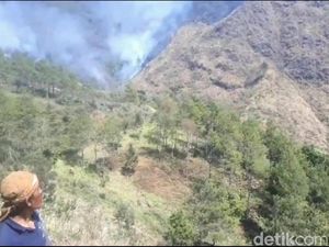 Kebakaran di Gunung Pasuruan Diduga Disengaja, Polisi Diminta Bertindak