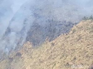 Kobaran Api di Tahura Gunung Ringgit Pasuruan Masih Membara