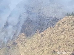 Kobaran Api di Tahura Gunung Ringgit Pasuruan Masih Membara